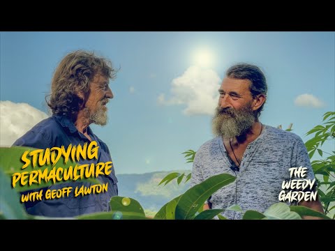 GEOFF LAWTON REVIEWS THE WEEDY GARDEN`S PERMACULTURE PRACTICES