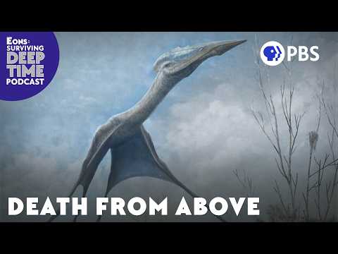 Could You Survive On Hateg Island?