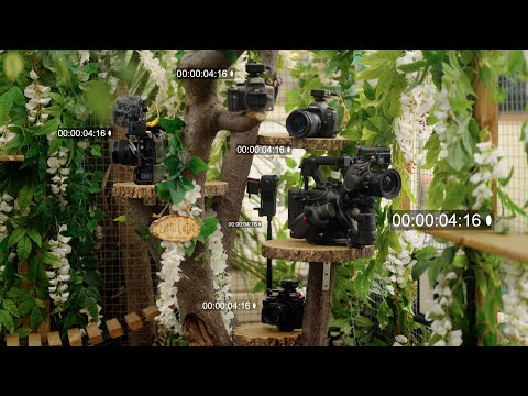 Why you MUST use these devices with your CAMERAS!