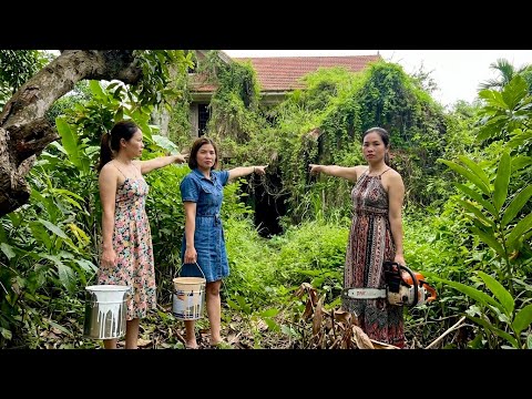 Three young girls were shocked when they stepped into overgrown garden | clean renovation satisfying