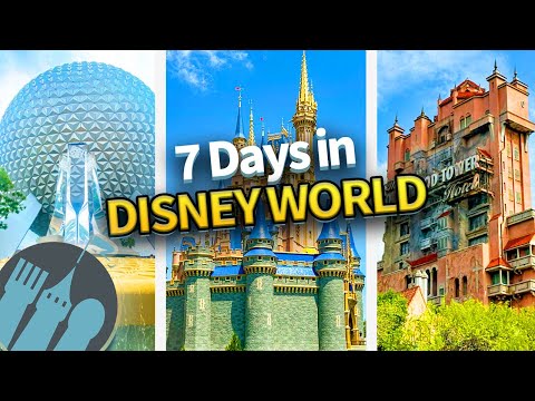 The ULTIMATE 7 Day Disney World Trip Itinerary