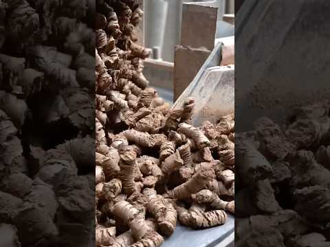 How Red Bricks Are Made -Part1- #redbricks #kodawari #拘り