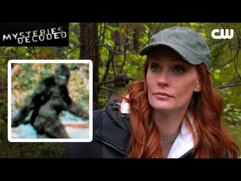 Bigfoot Investigative Documentary - PART 1 | Mysteries Decoded | The CW