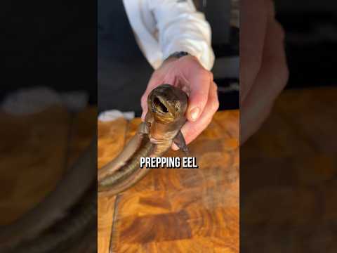 How Chefs Cook Eel