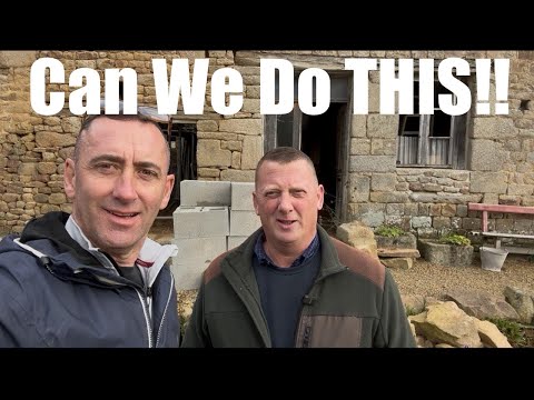 We’re Rebuilding! After the Devastating Collapse That Pushed Us to the Edge (115)