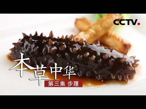 《本草中华》第三集 步履 | CCTV纪录