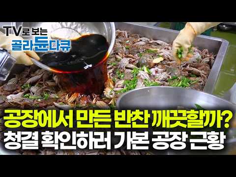 [ENG SUB] Inside A Side Dish Factory Making 2 Tons Of Food By Hand Every Day #PICKDOCU