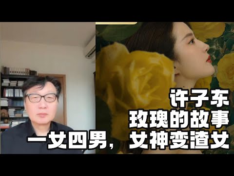 从《玫瑰的故事》爆火到刘亦菲：一女对多男，女神变渣女？——许子东#刘亦菲 #圆桌派 #圆桌派第七季 #窦文涛#许子东