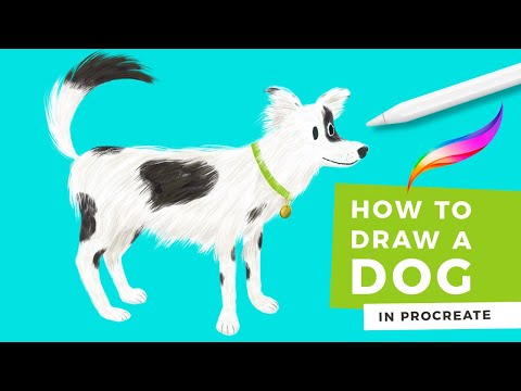 How to Draw a Dog on Procreate - Stay Home and Draw
