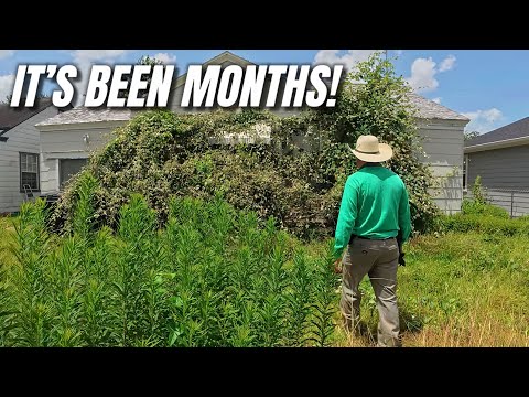 Neighbors Said He Might Be DEAD… No One Has SEEN Him In MONTHS