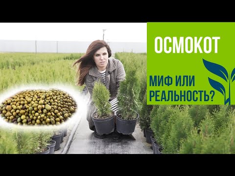 Осмокот - ПРАВДА или МИФ?