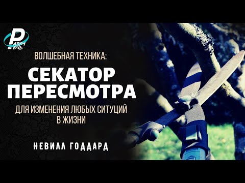 СЕКАТОР ПЕРЕСМОТРА или как изменить любую ситуацию в жизни | Невилл Годдард [1954]