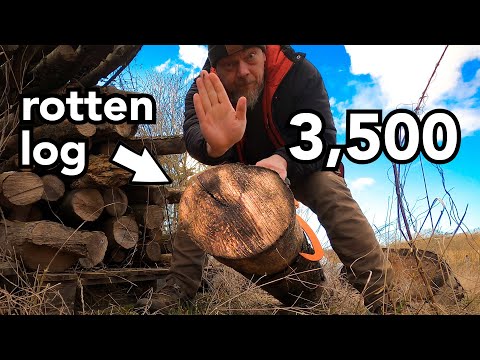 How I Turned a Rotten Log into 3,500 on Etsy