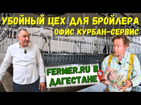 500 бройлеров в час. Линия убоя собрана из б/у комплектующих. Курбан-Сервис - ответственный бизнес