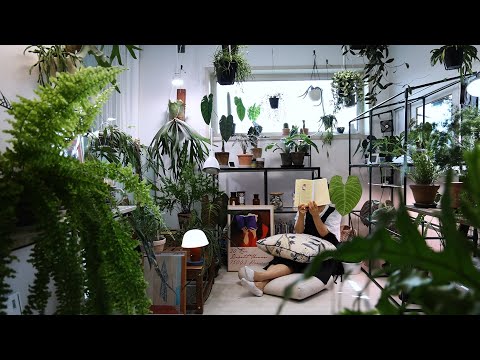 2층 실내 정원 55개 식물로 나만의 숲 같은 아지트 만들기/ 55개 화초+ 플랜테리어