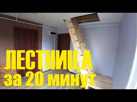 ЛЕСТНИЦА ИЗ ДЕРЕВА НА ВТОРОЙ ЭТАЖ СВОИМИ РУКАМИ. Всё строительство за 20 минут.