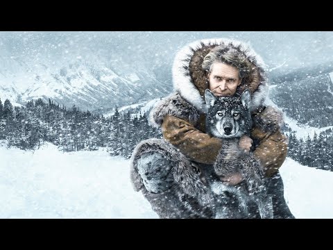 一人十狗在暴风雪中狂奔425公里，拯救了50多个孩子的命，被评为史上最英勇动物，12万人打出8.8高分，19分钟看完2019年真实事件改编传记电影《多哥》