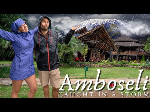 Are Safaris During Rainy Season Really That Bad? / Ol Tukai Amboseli