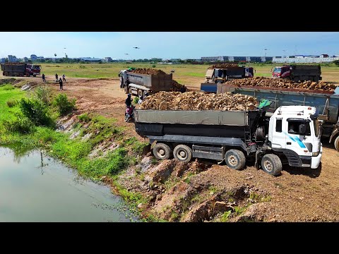 Start Incredible Landfill Processing by Dump Truck 25.5Ton& Dozer Pour Soil in Huge Size, Mix VDO