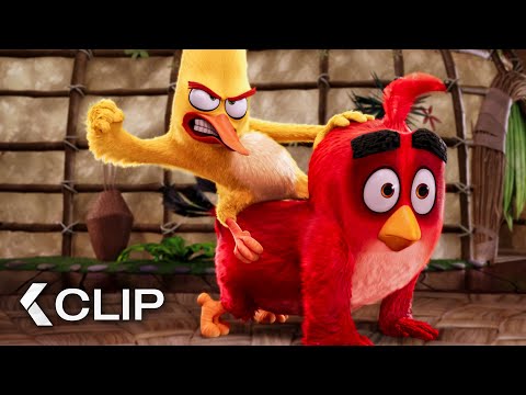 Anger Management Class Scene - The Angry Birds Movie (2016)