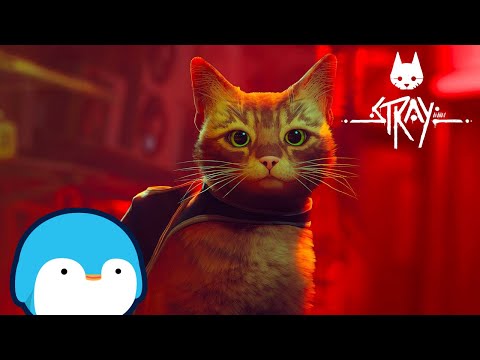 First Time Playing Stray!