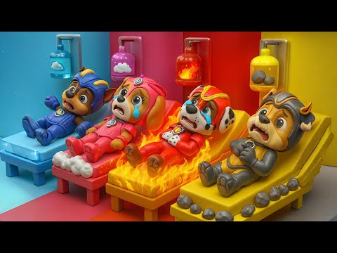 Paw Patrol Is Missing Their Colors | Paw Patrol 3D Animation | PAW Patrol Ultimate Rescue | Rainbow