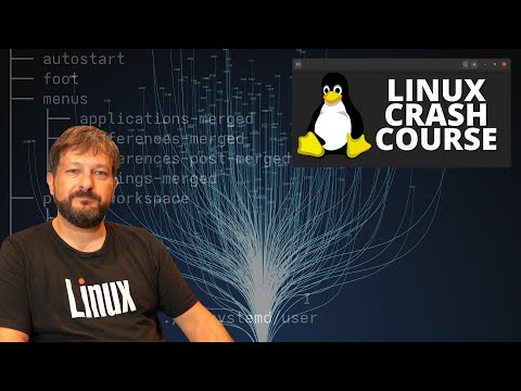 Unlock the Power of the Linux tree Command