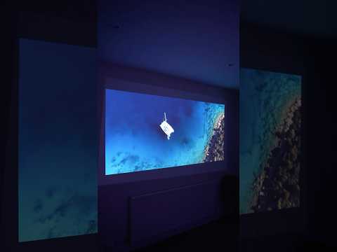 Your Wall can do THIS! 😳