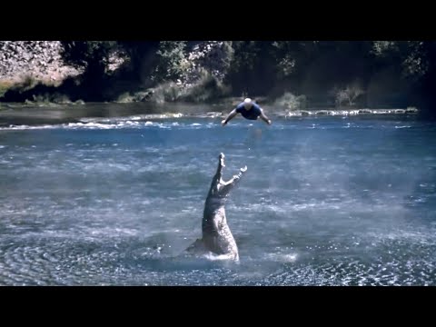 Crocodile Snatches Hiker After Fall From Cliff