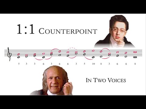 How to Compose 1:1 Counterpoint || Tonal Voice Leading 1
