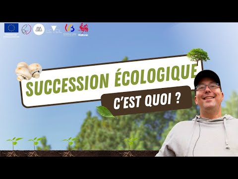 Qu'est-ce que la succession écologique ? - Eveil Comesti Lab