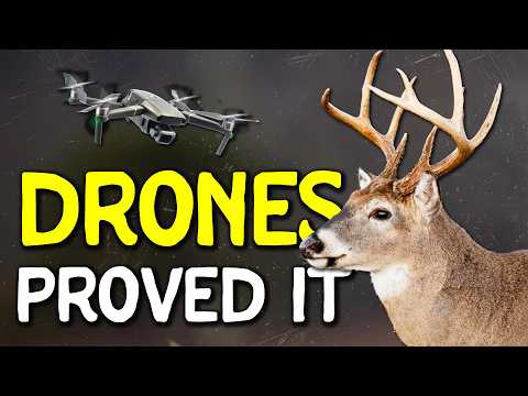 Drone Study Shows Mature Bucks Avoiding Hunters in Surprising Ways
