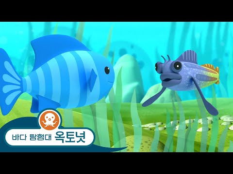바다 탐험대 옥토넛 - 청베도라치 & 산갈치 - 모음집