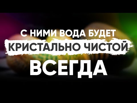 С ними вода в аквариуме будет всегда кристально чистой