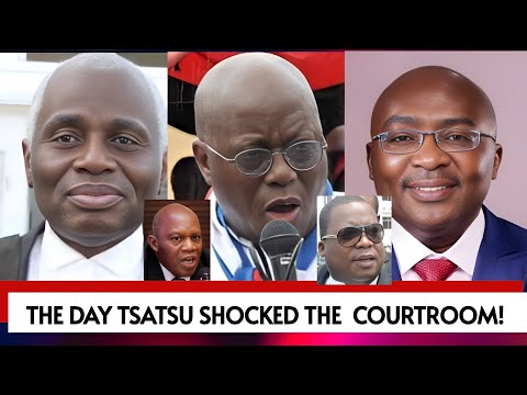 The day Tsatsu SHOCKED the Courtroom during 2013 Election Petition
