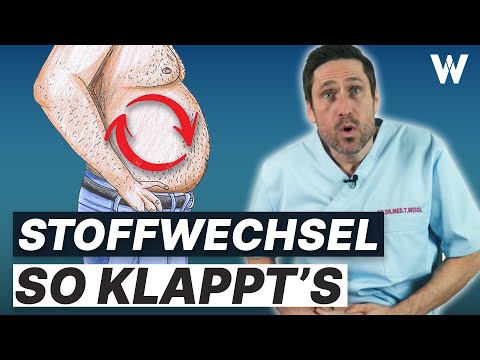 Fettstoffwechsel ankurbeln: Schnelle Fettverbrennung mit Turbo-Tipps & Traumfigur erreichen (jetzt)
