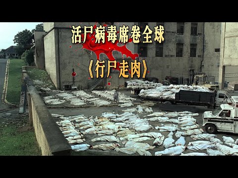 35分鐘，一口氣看完《陰屍路》殭屍美劇天花板，重溫經典！