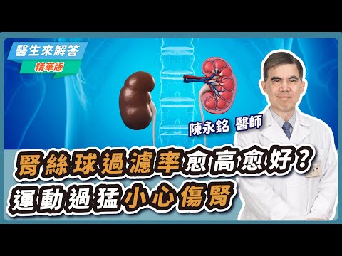 【愛健康│醫生來解答】腎絲球過濾率愈高愈好？運動過猛小心傷腎