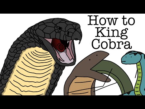 Your Life as a King Cobra