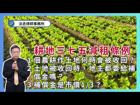 地主要如何才能收回三七五租約土地❓佃農該如何保護自己❗【不動產系列ep 46】