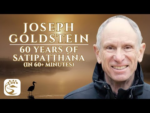 Pick-Ax Dhamma: Deep Mining the Four Foundations of Mindfulness | Joseph Goldstein Q&A