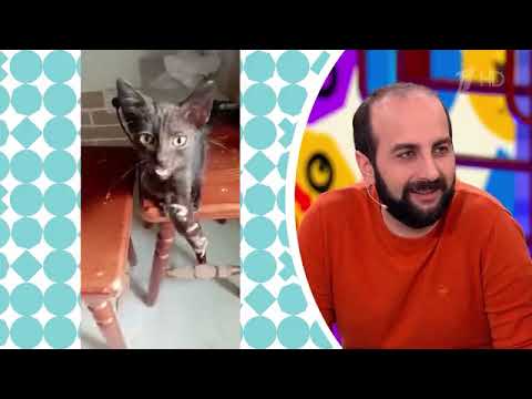 Видели видео  Выпуск от 27 04 2025