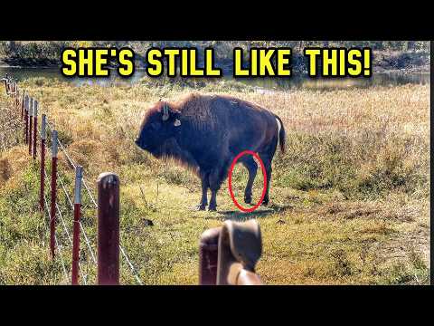 I'm Sorry...I Left Y'all High and Dry.