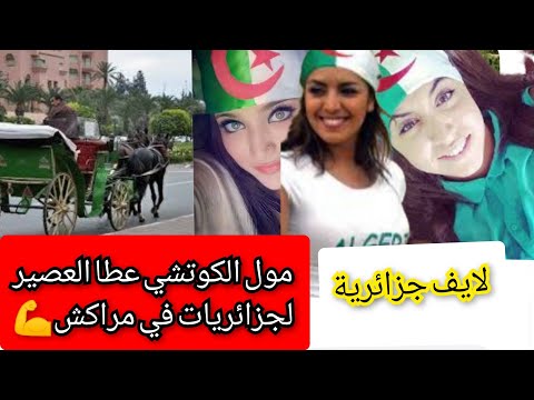 لايف جزائريات في مدينة مراكش مول الكوتشي قام بالواجب وعطاهم العصير💪