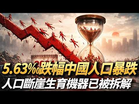 跌至5.63‰，中国人口结构反噬!从9.4亿到8.7亿，中国劳动力“抽血”正在加速！未来中国财务崩盘！｜出生率腰斬｜結構反噬｜隱形斷層｜