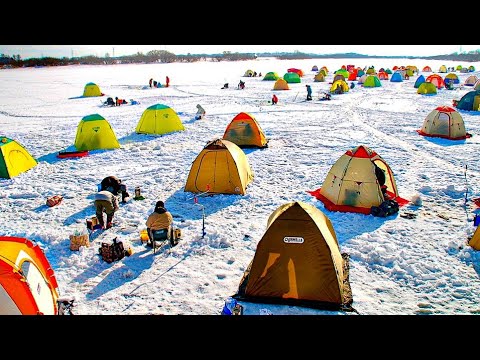 The fish are running wild. The whole village is now sleeping on the ice! Winter fishing 2025
