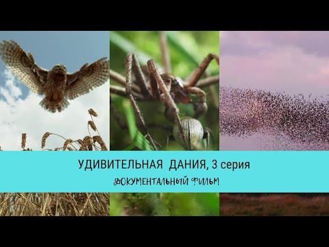 Удивительная Дания, 3 серия / Рейтинг 9,8 / Документальный фильм (2020)