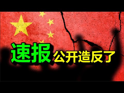 速报：公开造反了，太快了