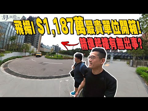 😎飛揚：驗樓😎一期$1,187萬最貴單位開箱❗️精進起樓有無出事❓｜屯門｜長實｜胡‧說樓市