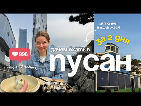 2 дня в Пусане ШОК: храм на скале, самый вкусный суп в Корее, хайкинг вдоль побережья | Влог